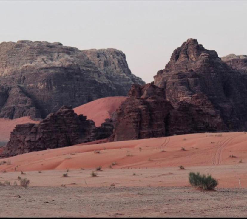 Enad Desert Camp 와디럼 외부 사진